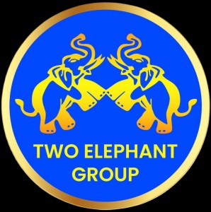 Two Elephant Asia Group Co.,Ltd.